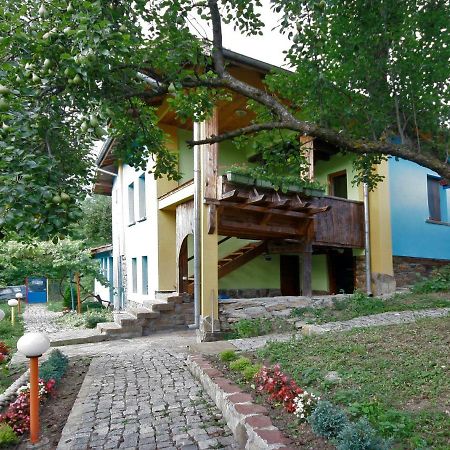 Chuchi Guest House 1 Zlatna Panega Exteriör bild