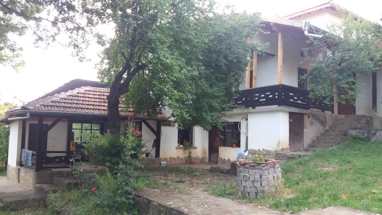 Chuchi Guest House 1 Zlatna Panega Exteriör bild