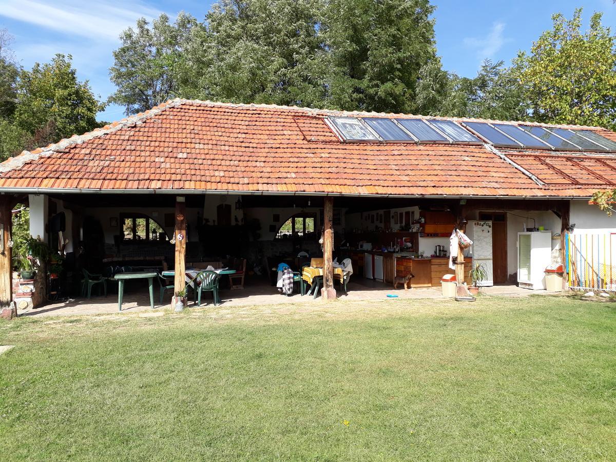 Chuchi Guest House 1 Zlatna Panega Exteriör bild