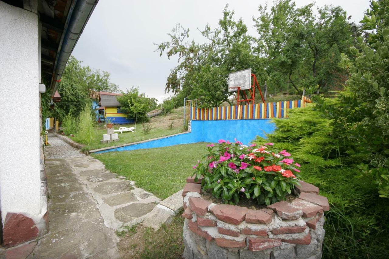 Chuchi Guest House 1 Zlatna Panega Exteriör bild