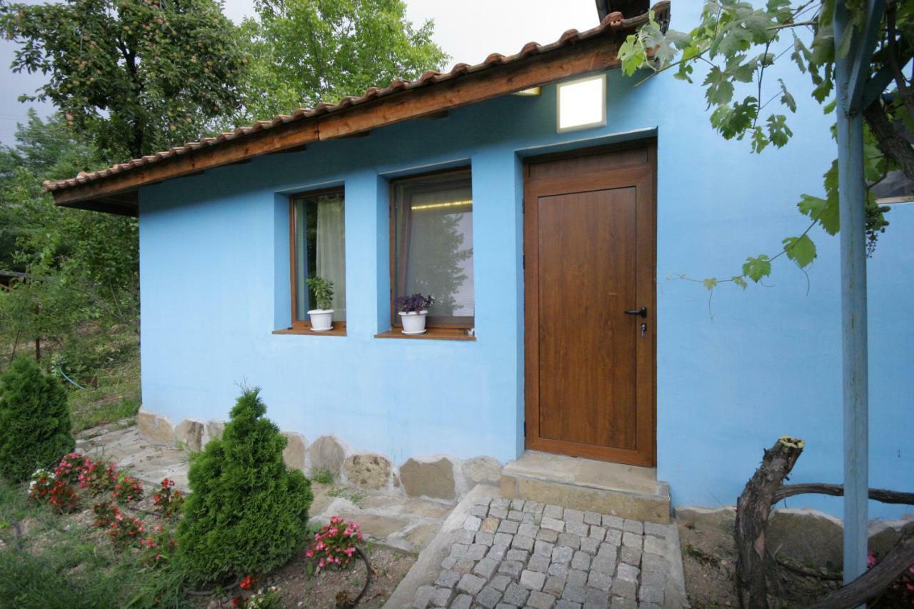 Chuchi Guest House 1 Zlatna Panega Exteriör bild