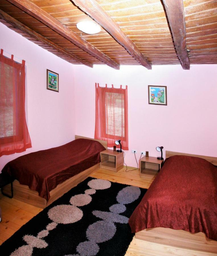 Chuchi Guest House 1 Zlatna Panega Exteriör bild
