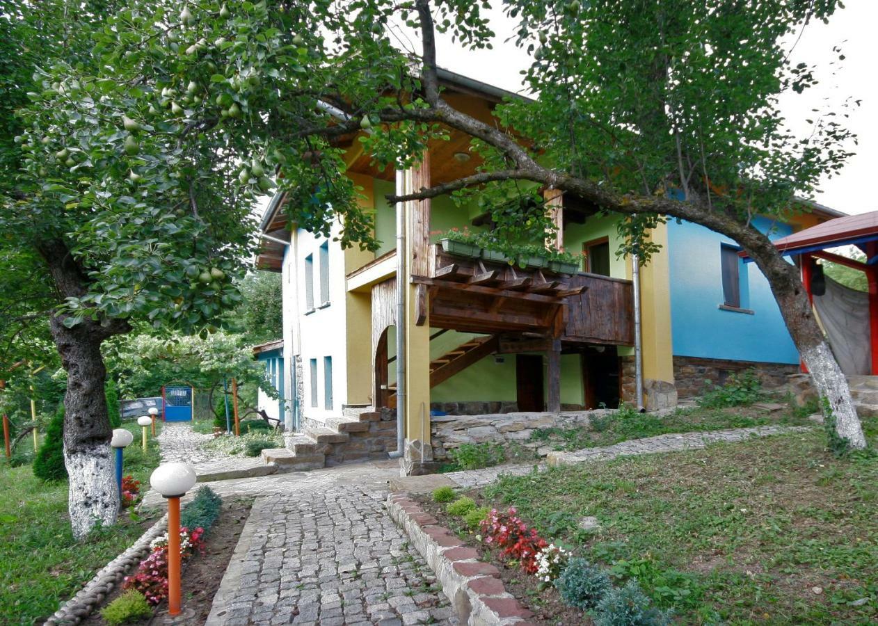 Chuchi Guest House 1 Zlatna Panega Exteriör bild