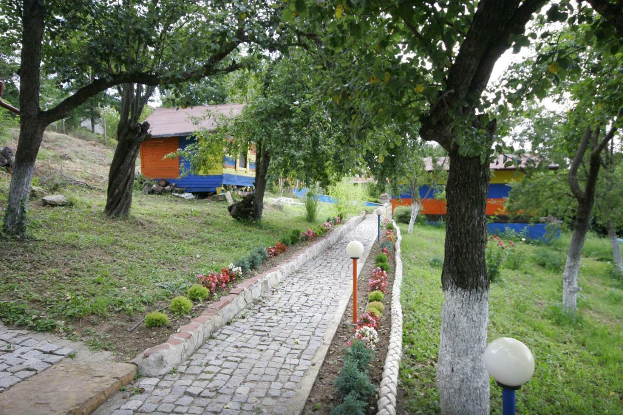 Chuchi Guest House 1 Zlatna Panega Exteriör bild
